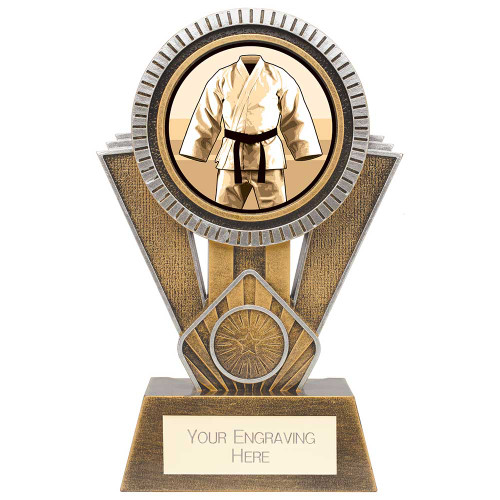 Large Apex Martial Arts Gi Trophy with free engraving