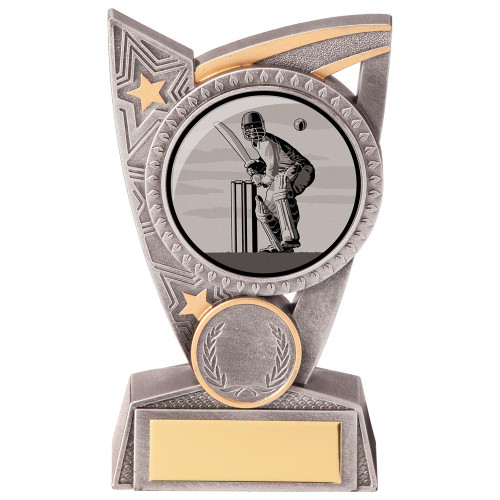 Cricket Club Silver & Gold Triumph Test Match Games Award With Free Engraving