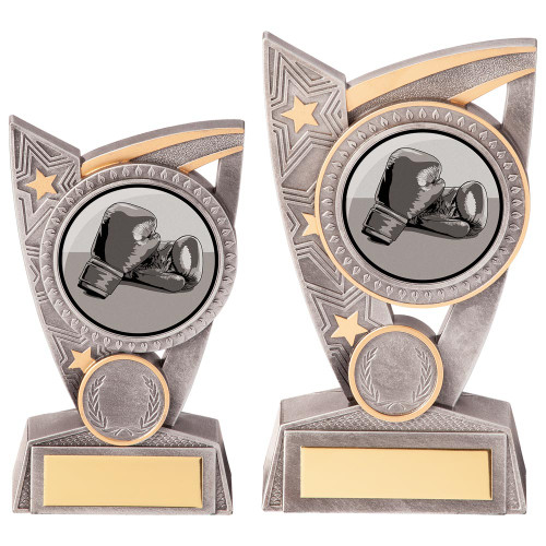 Boxing Club Silver & Gold Triumph Award in 2 Sizes