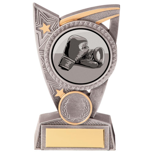 Boxing Club Silver & Gold Triumph Award