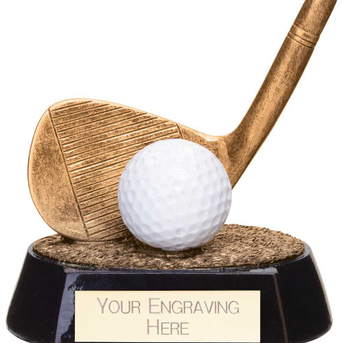 Fairway Golf Iron Club Trophy