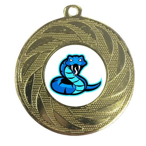 Blue Snake Medal Martial Arts Award Sports Personalised Engraving 