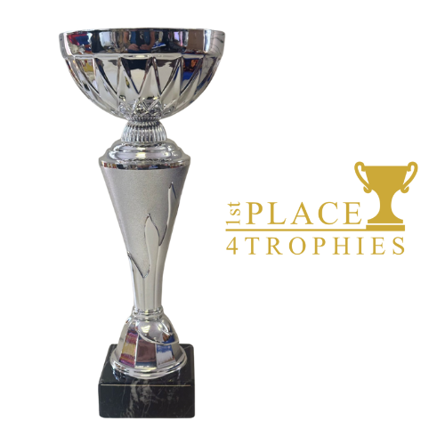 Silver Cup 11.5" Award Budget Cheap Cheapest Trophies Personalised Engraving