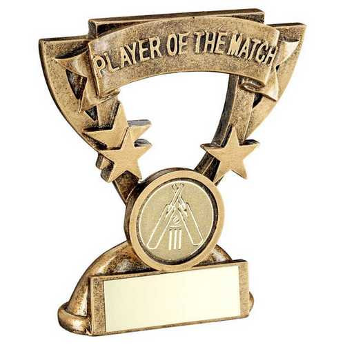 Cricket Player of the Match Award 3.75"