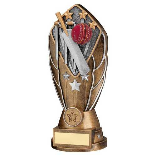 Cricket Bronze & Silver Diamond Award