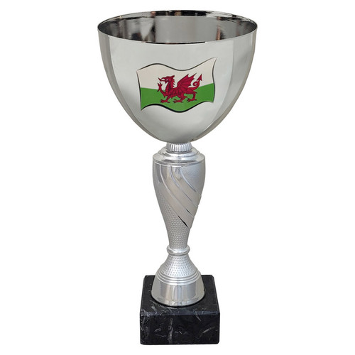 Welsh Flag Award The Genteel Cup 21.5cm