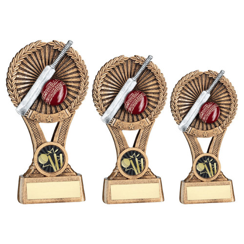 Cricket Award Wreath Gold & Silver Trophy 