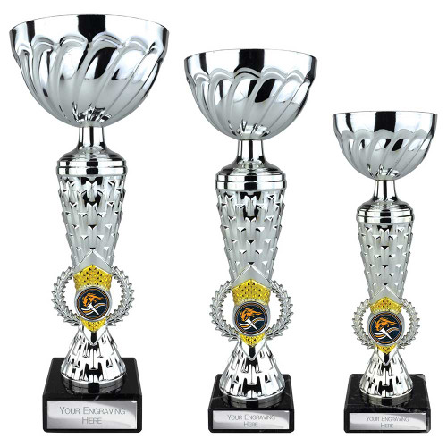 Silver and gold cups sports awards schools prizes events 