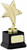 Gold finish achievement star award. Beautiful trophy with free engraving.
