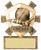 Star Cricket Trophy - personalised award from 1st Place 4 Trophies