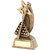 Shooting Star Pool Balls and Cue Award - personalised award from 1st Place 4 Trophies
