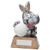 What A Donkey! Novelty fun comic cheap budget golf award