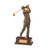 Classical male golf luxury matt paint finish award super price