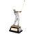 Stunning male golf player swinging a golf club. An affordable award available in 3 sizes
