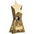 Gold Star Achievement Trophy for progress academic or sporting success