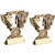 Martial Arts Award Prize Trophy End of Year Presentation