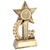 6.25" Gold resin 1st Place Star Trophy for Athletics, Swimming, Cycling