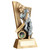 Fabulous cricket batsman trophy available with FREE engraving from 1stPlace4Trophies with custom logo.