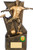 Legacy football trophy with FREE engraving in 4 sizes