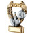 Ten Pin Bowling trophy available in 3 sizes with FREE engraving