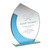 Standard glass engraved trophy at 1st Place 4 Trophies