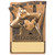 3" READING Magnetic Award with FREE engraving