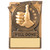 3" WELL DONE Magnetic Award with FREE engraving
