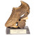 Raptor Football Trophy 