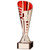 SUNFIRE Silver & Red Series - personalised award from 1st Place 4 Trophies