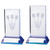DAVENPORT Glass Darts Award With 3D Picture