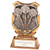 TITAN Resin Darts Bullseye Trophy