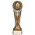 Ikon Rugby League Award Gold & Silver Trophy Series