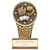 Ikon Boxing Award Gold & Silver Trophy Series Small