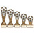 Ikon Star Achievement Award in 5 Sizes