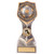 Falcon Coach's Award Trophy End of Season Prize
