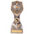 Falcon Football Star Player Award Trophy