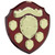 MOUNTBATTEN ROSEWOOD 5 YEAR PRESENTATION SHIELD SPORTS AWARD