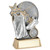 Pewter & Gold Basketball Award With Shoe & Shirt With Personalised Engraving