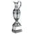 Painted Silver Golf 10" Claret Jug