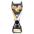 Wolverine Football Award Personalised Engraving at 1st Place 4 Trophies