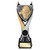 Wolverine Basketball Award 