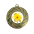 Daffodil Medal Yellow Flower Show Gardening St David's Day Award Prize