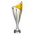 Nebula Trophy Silver & Gold Free Personalised Engraving at 1st Place 4 Trophies