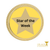 Star of the Week Badges Set of 30 School Awards Achievement Assemblies 