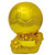 Gold Football Award at 1st Place 4 Trophies