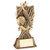 Cricket Award With Personalised Engraving at 1st Place 4 Trophies