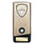 Ten Pin Bowling Award Prime Heavyweight 6" 