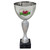 Welsh Flag Award The Genteel Cup 21.5cm