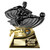 Player of the Month Award Heavyweight Gold & Black Engraved Trophy at 1st Place 4 Trophies