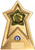 Gold Star Force Basketball Trophy Award 200mm